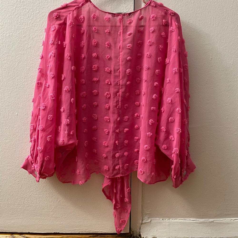 Pink Zara Top.